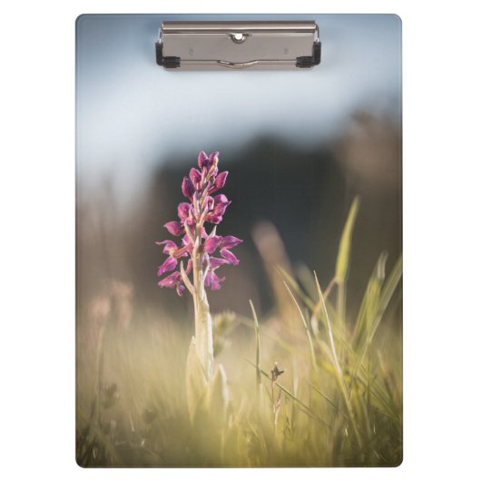 ワイルドオーキッド自然写真 クリップボード (正面)