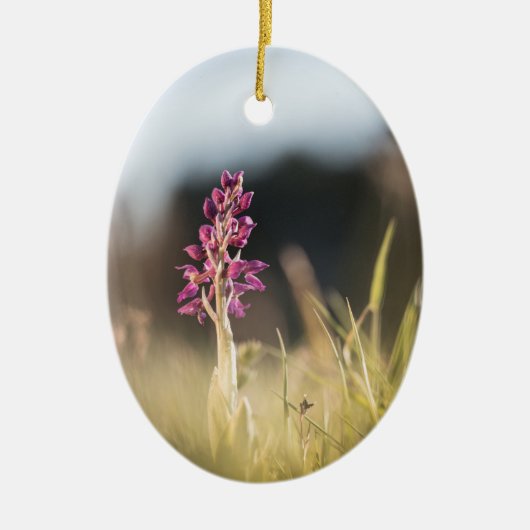 ワイルドオーキッド自然写真 セラミックオーナメント (正面)