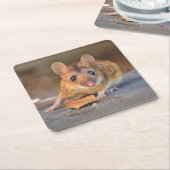 ワイルドカッコいいコースターセットの非常にマウス スクエアペーパーコースター (アングル)