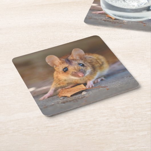ワイルドカッコいいコースターセットの非常にマウス スクエアペーパーコースター (アングル)