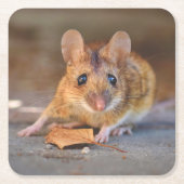 ワイルドカッコいいコースターセットの非常にマウス スクエアペーパーコースター (正面)