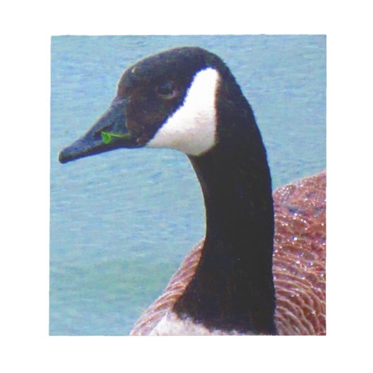 ワイルドカナダガチョウ ノートパッド (正面)