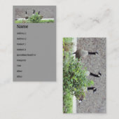 ワイルドカナダゲーゼ動物の名刺 名刺 (正面/裏面)