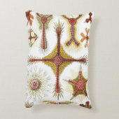 ワイルドカモミールbyエルンスト・ヘイケル，ヴィンテージ自然 アクセントクッション (裏面(縦))