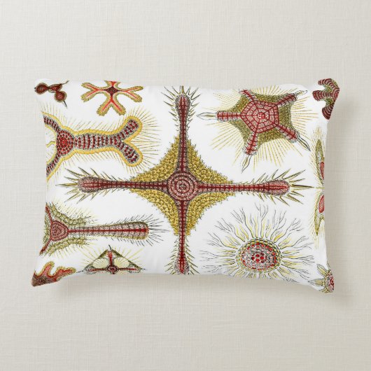 ワイルドカモミールbyエルンスト・ヘイケル,ヴィンテージ自然 アクセントクッション (裏面)