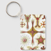 ワイルドカモミールbyエルンスト・ヘイケル，ヴィンテージ自然 キーホルダー (正面)