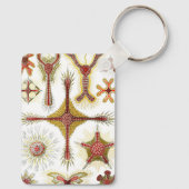 ワイルドカモミールbyエルンスト・ヘイケル，ヴィンテージ自然 キーホルダー (裏面)