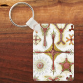 ワイルドカモミールbyエルンスト・ヘイケル，ヴィンテージ自然 キーホルダー (正面)