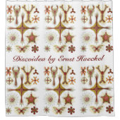 ワイルドカモミールbyエルンスト・ヘイケル，ヴィンテージ自然 シャワーカーテン (正面)