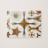 ワイルドカモミールbyエルンスト・ヘイケル,ヴィンテージ自然 ジグソーパズル (横)