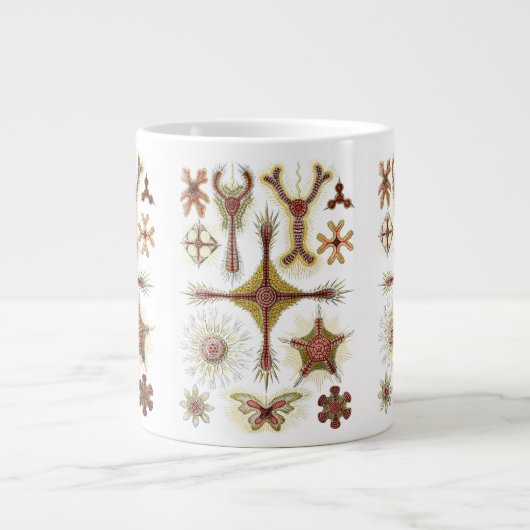 ワイルドカモミールbyエルンスト・ヘイケル，ヴィンテージ自然 ジャンボコーヒーマグカップ (正面)