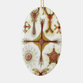 ワイルドカモミールbyエルンスト・ヘイケル,ヴィンテージ自然 セラミックオーナメント (右)