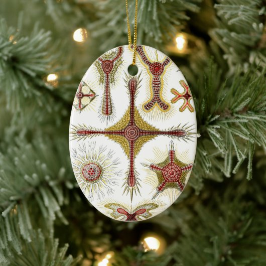 ワイルドカモミールbyエルンスト・ヘイケル，ヴィンテージ自然 セラミックオーナメント (ツリー)