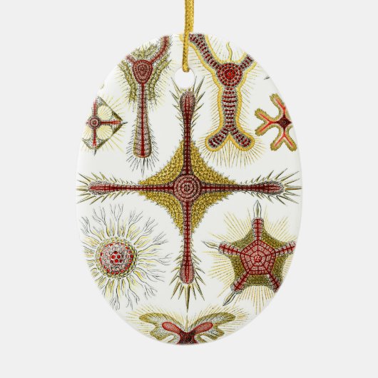 ワイルドカモミールbyエルンスト・ヘイケル,ヴィンテージ自然 セラミックオーナメント (正面)