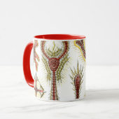 ワイルドカモミールbyエルンスト・ヘイケル,ヴィンテージ自然 マグカップ (正面左)