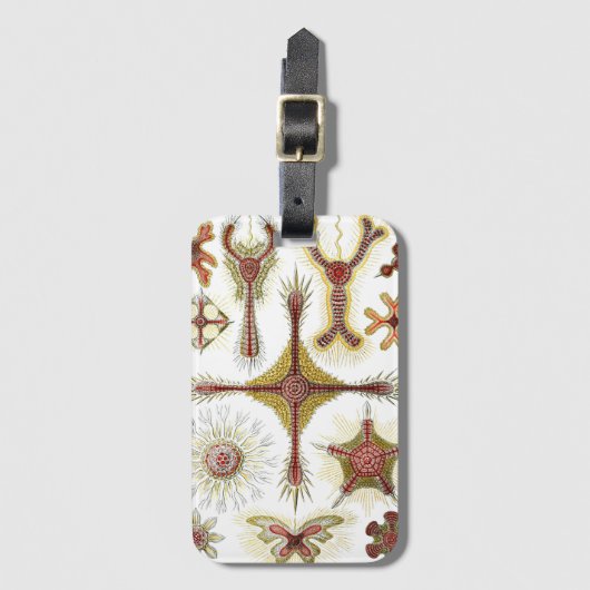 ワイルドカモミールbyエルンスト・ヘイケル，ヴィンテージ自然 ラゲッジタグ (正面縦)