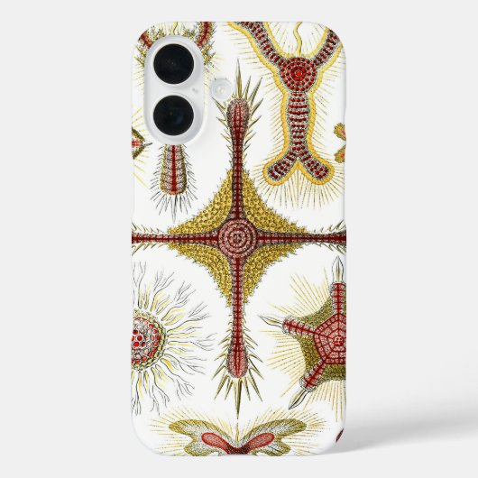 ワイルドカモミールbyエルンスト・ヘイケル,ヴィンテージ自然 Case-Mate iPhoneケース (裏面)