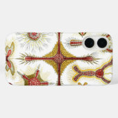 ワイルドカモミールbyエルンスト・ヘイケル,ヴィンテージ自然 Case-Mate iPhoneケース (裏面 (横))