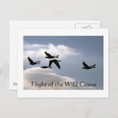 ワイルドガチョウのフライト – 破れた端のはがき ポストカード (正面/裏面)