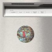 ワイルドガラー マグネット (インサイチュ (食洗機))