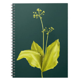ワイルドガーリックの緑の植物 自然愛好家 植物学者 ノートブック