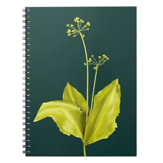 ワイルドガーリックの緑の植物 自然愛好家 植物学者 ノートブック (正面)