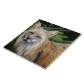 ワイルドキツネ タイル (側面)