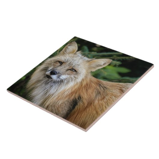 ワイルドキツネ タイル (側面)