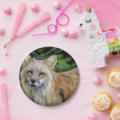 ワイルドキツネ ペーパープレート (パーティー)