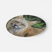 ワイルドキツネ ペーパープレート (アングル)