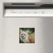 ワイルドキツネ マグネット (インサイチュ (食洗機))