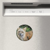 ワイルドキツネ マグネット (インサイチュ (食洗機))