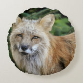 ワイルドキツネ ラウンドクッション (正面)