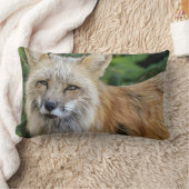 ワイルドキツネ ランバークッション (ブランケット)