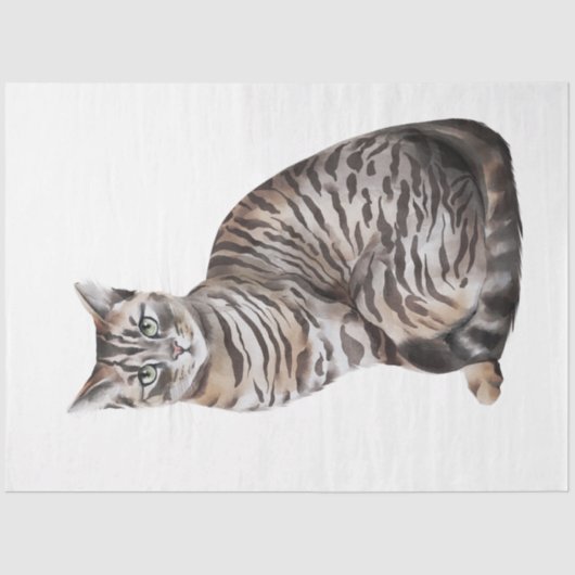 ワイルドキャッツシリーズデザイン6 薄葉紙 (正面)