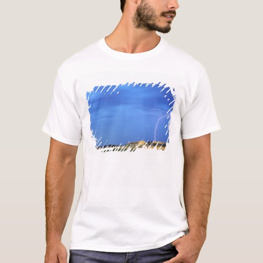 ワイルドキャットヒルズ近くに落雷 Tシャツ (正面)