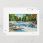 ワイルドキャットリバーとジャクソンの滝 ポストカード (正面/裏面)