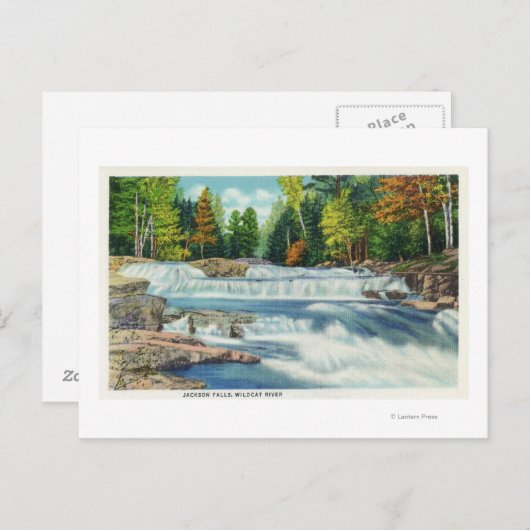 ワイルドキャットリバーとジャクソンの滝 ポストカード (正面/裏面)