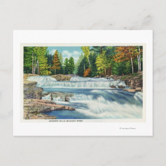ワイルドキャットリバーとジャクソンの滝 ポストカード (正面)