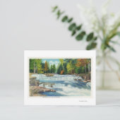 ワイルドキャットリバーとジャクソンの滝 ポストカード (スタンド正面)