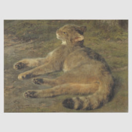 ワイルドキャット(by Rosa Bonheur) 薄葉紙