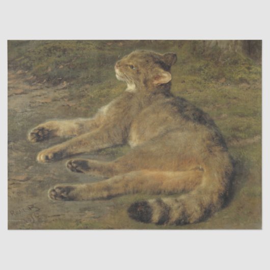 ワイルドキャット(by Rosa Bonheur) 薄葉紙 (正面)