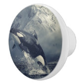 ワイルドキラーホエールジャンプ セラミックノブ (右)