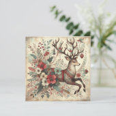 ワイルドクリスマスフラワー (スタンド正面)