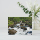 ワイルドクリーク葉書 ポストカード (スタンド正面)