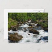 ワイルドクリーク葉書 ポストカード (正面/裏面)