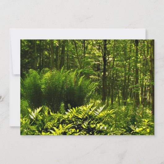 ワイルドグリーンファーンサマー至パーティの招待状 招待状 (正面)