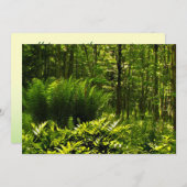 ワイルドグリーンファーンサマー至パーティの招待状 招待状 (正面/裏面)