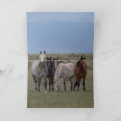 ワイルドグレースタリオンハ保護ーズの名刺 サンキューカード (内部)