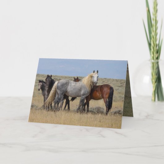 ワイルドグレースタリオンハ保護ーズの名刺 サンキューカード (正面)